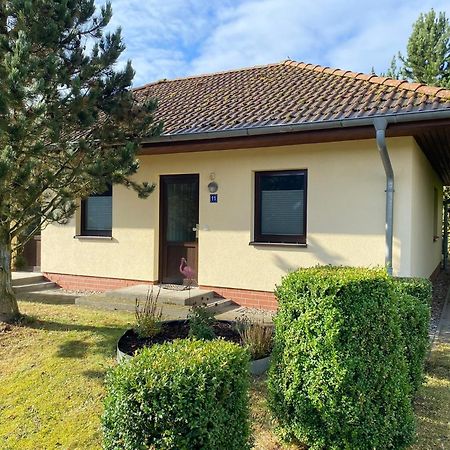 Ferienhaus Vogelmeer マルロー エクステリア 写真